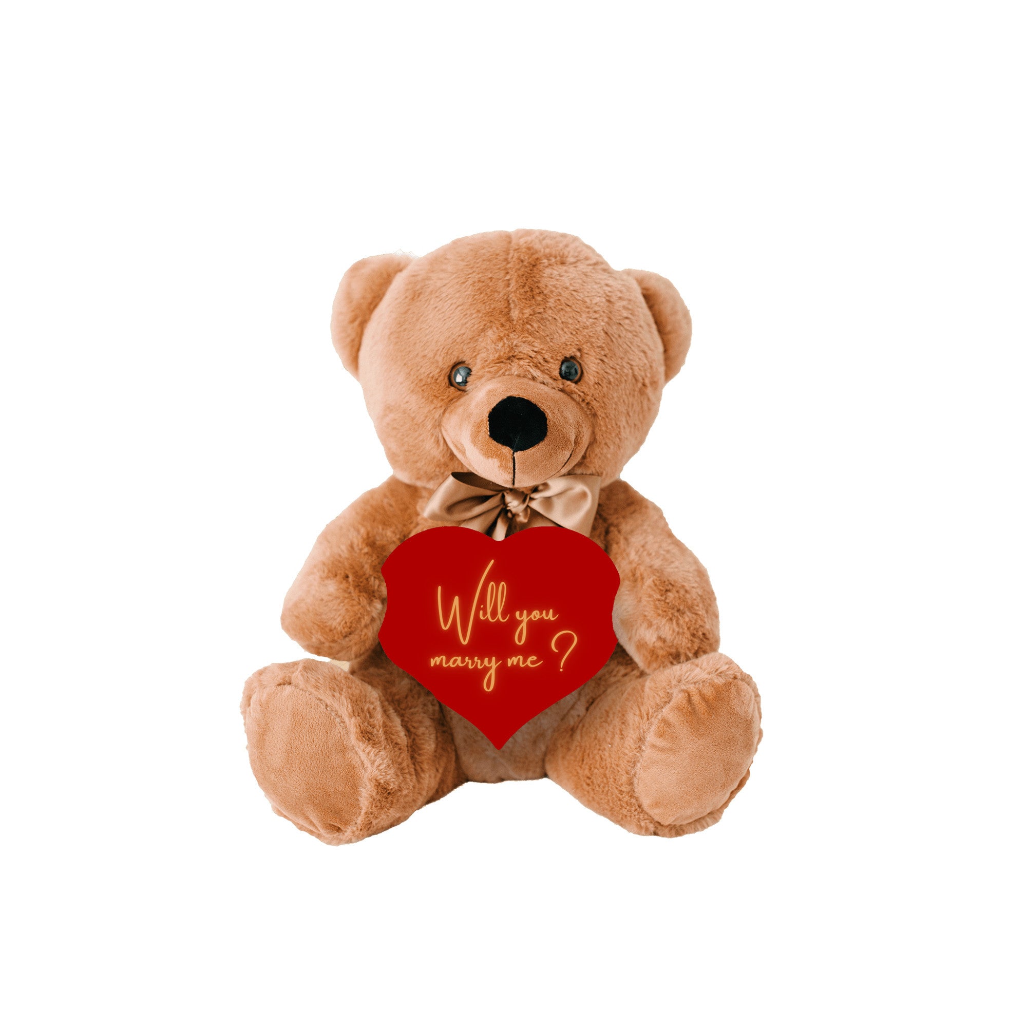 Will You Marry Me Proposal Teddybear