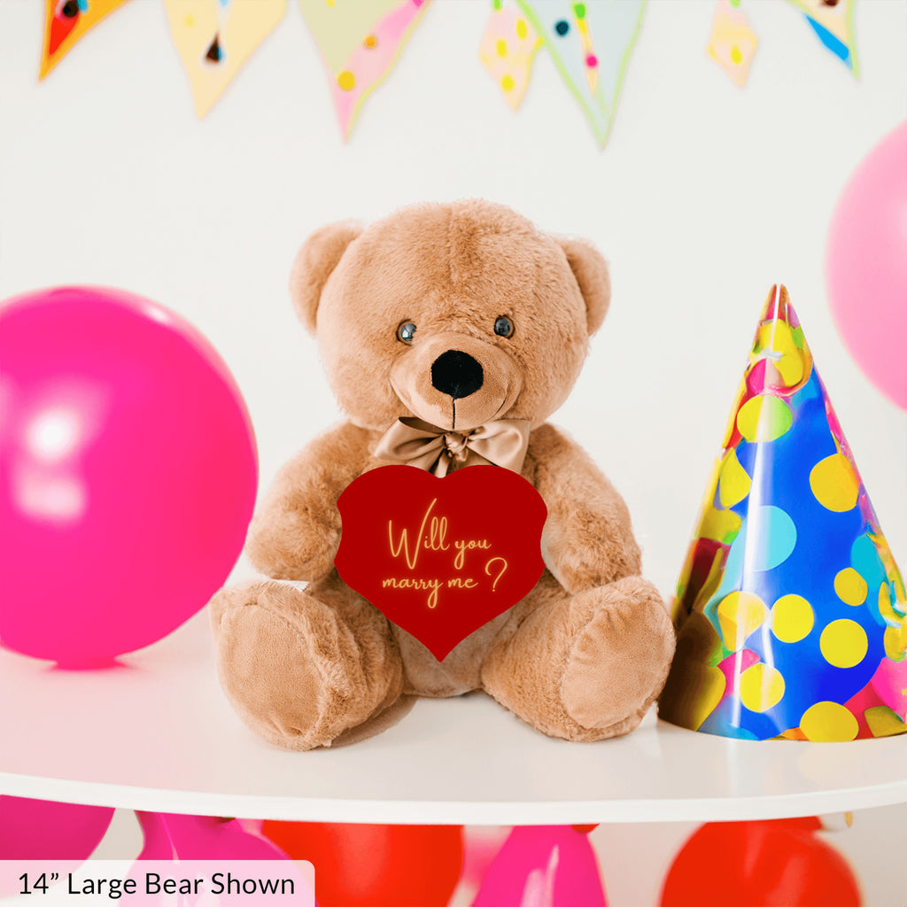 Will You Marry Me Proposal Teddybear