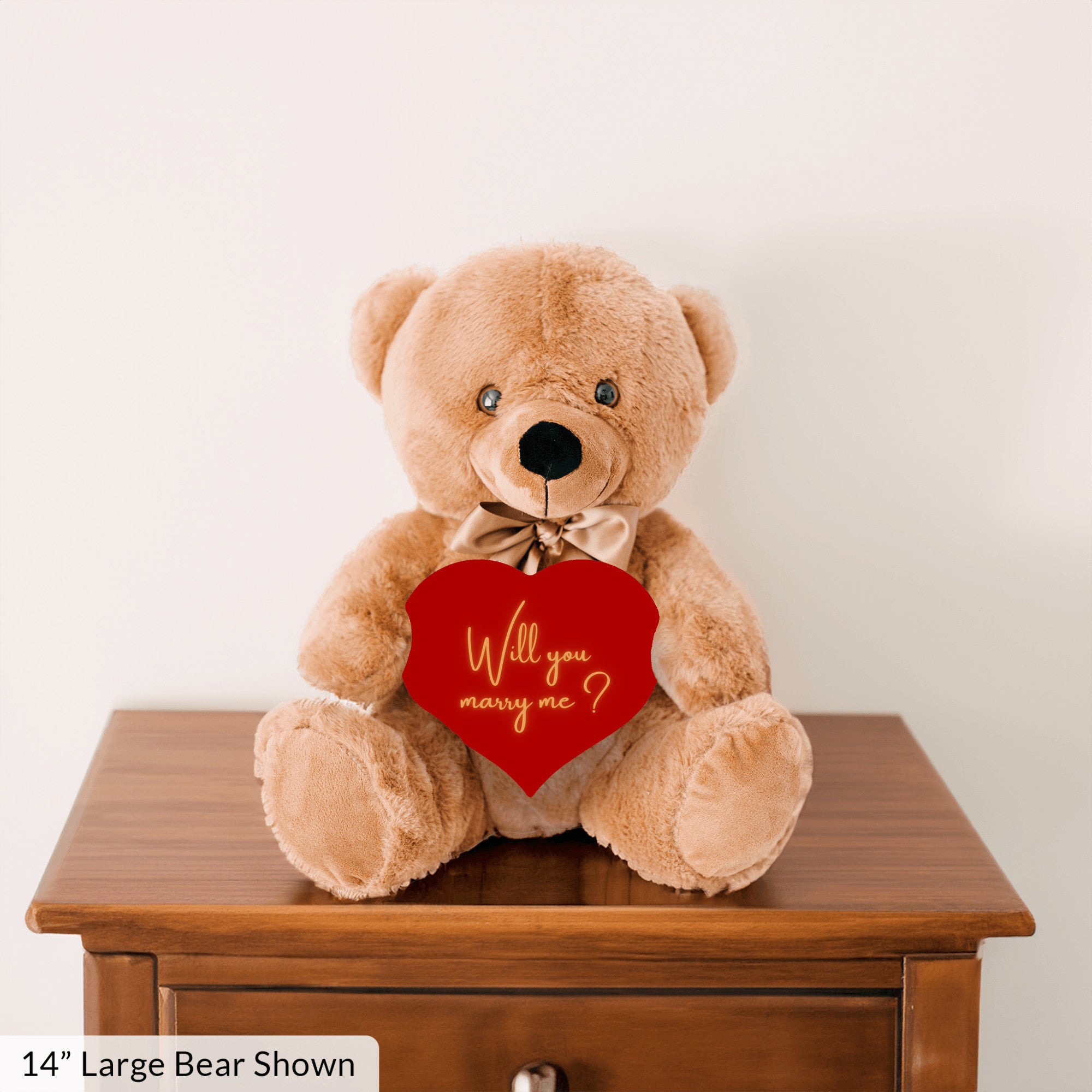 Will You Marry Me Proposal Teddybear