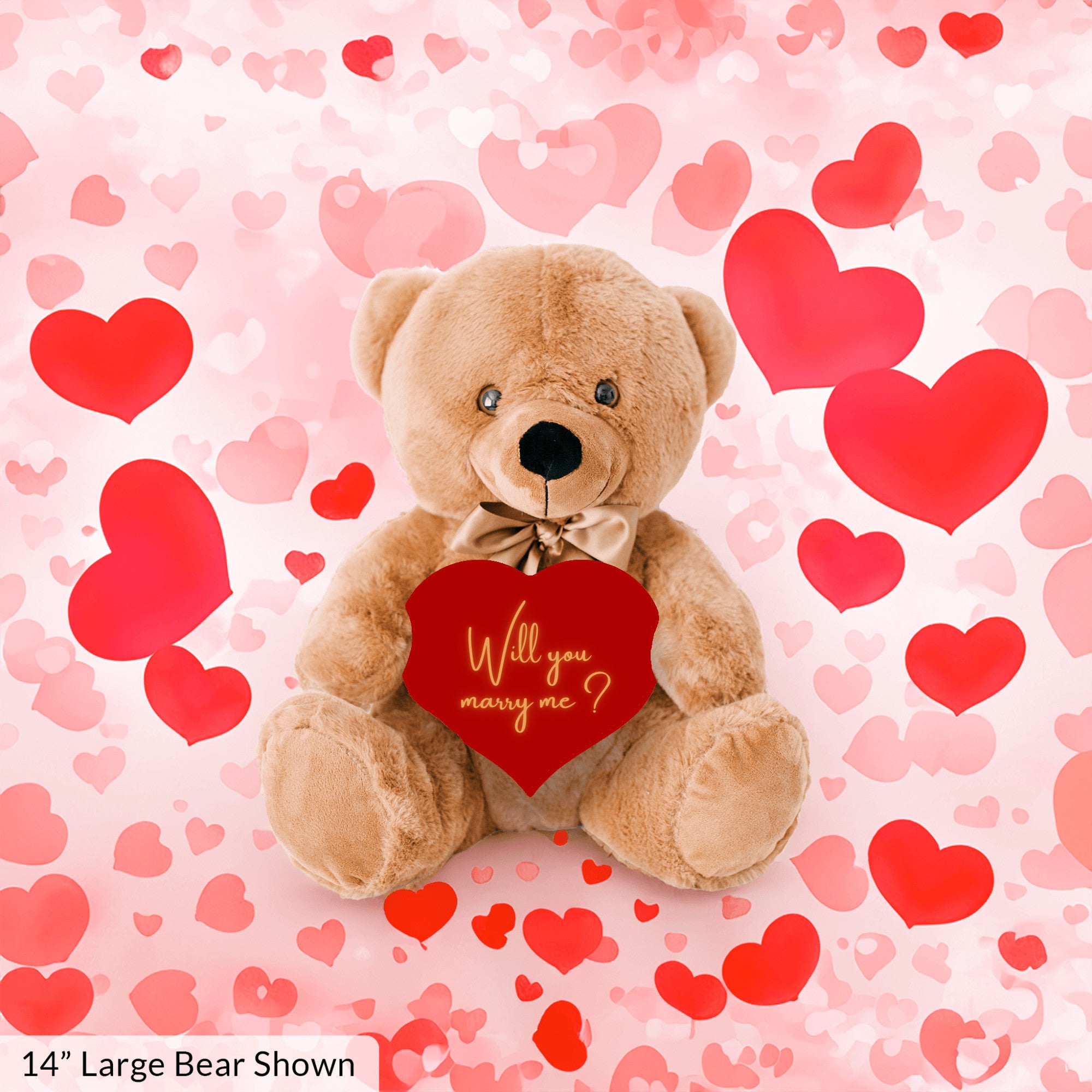 Will You Marry Me Proposal Teddybear