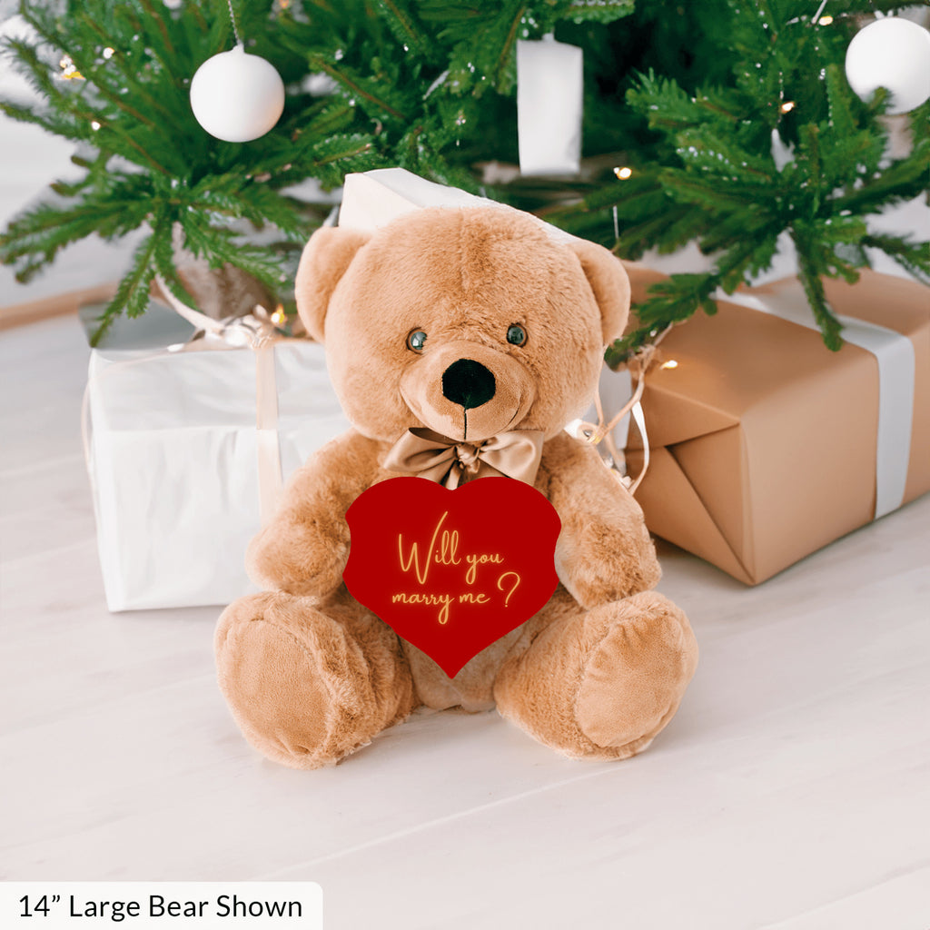 Will You Marry Me Proposal Teddybear