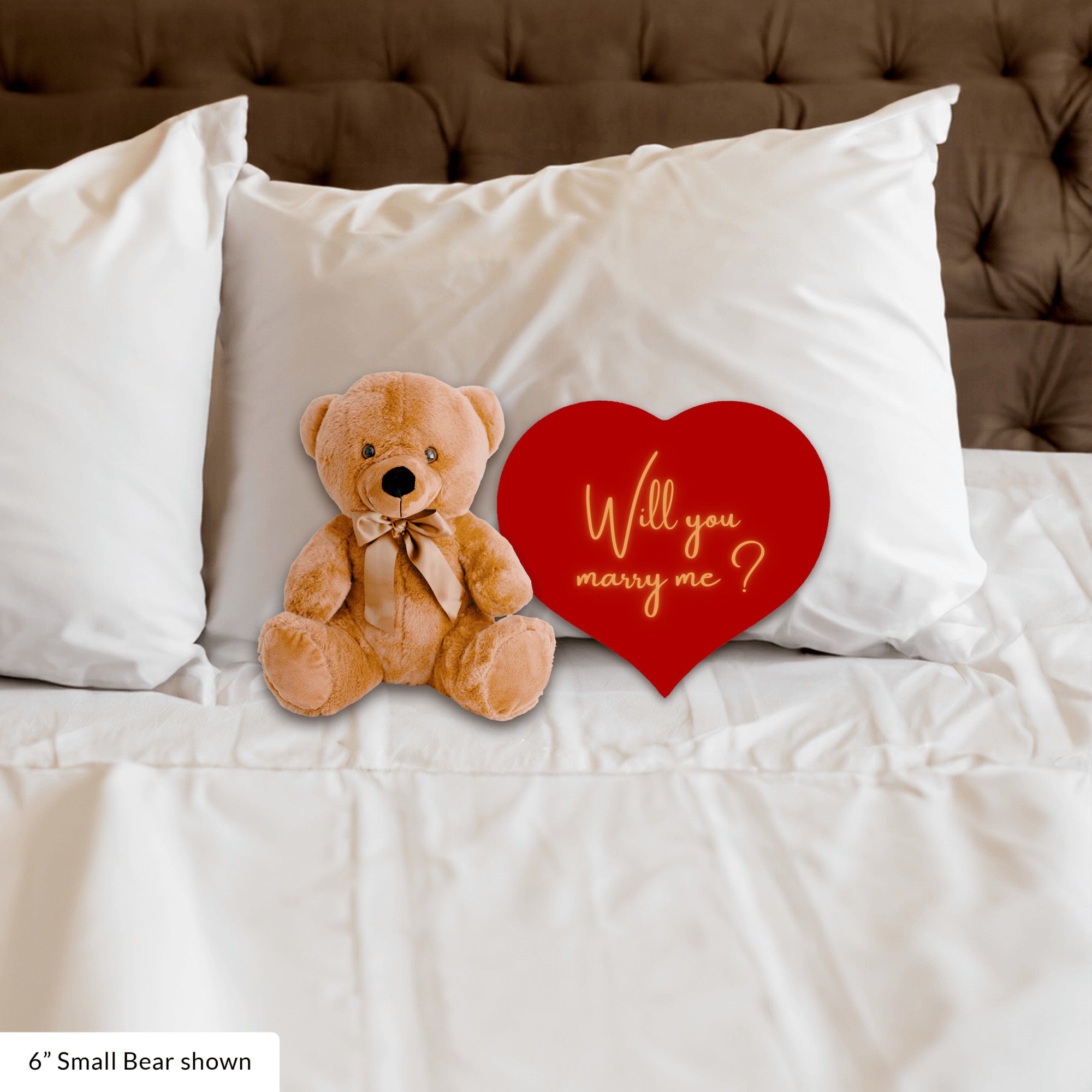 Will You Marry Me Proposal Teddybear