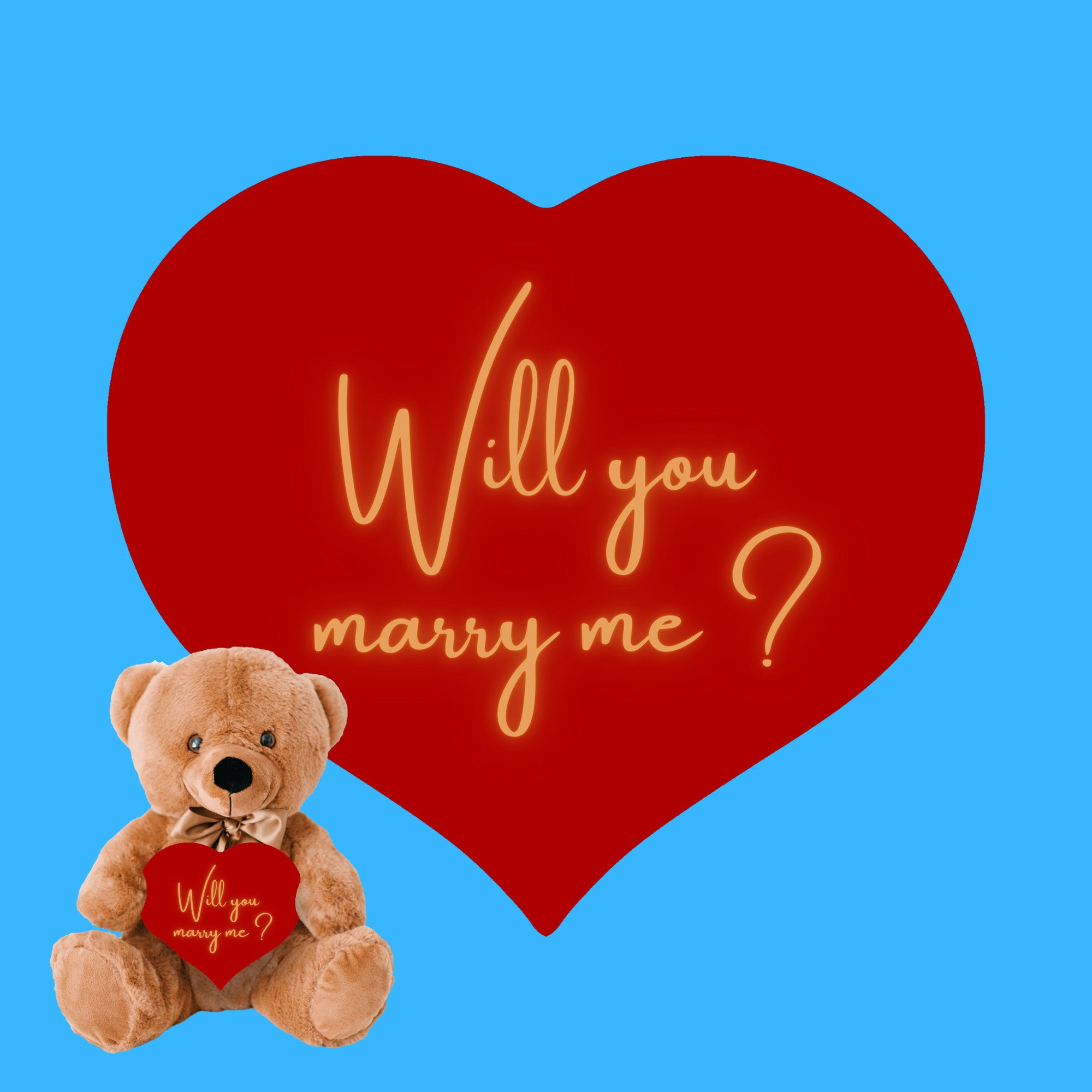 Will You Marry Me Proposal Teddybear