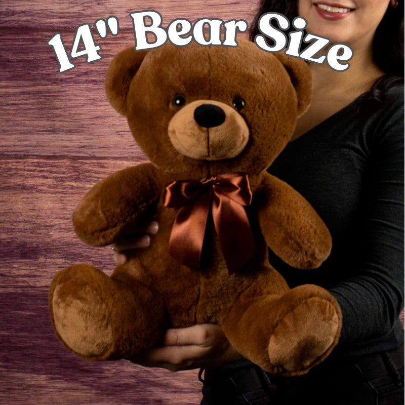 Will You Marry Me Proposal Teddybear