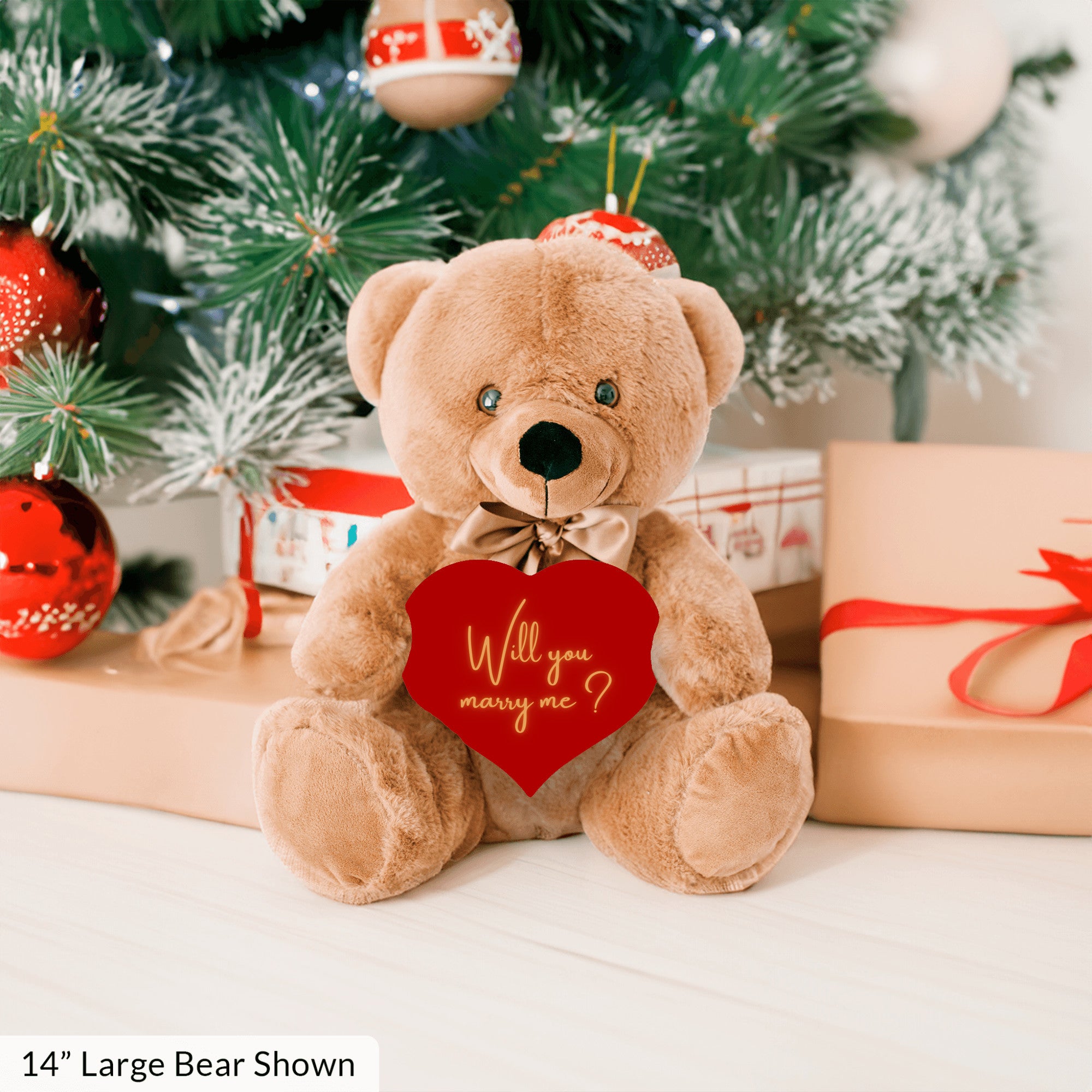 Will You Marry Me Proposal Teddybear