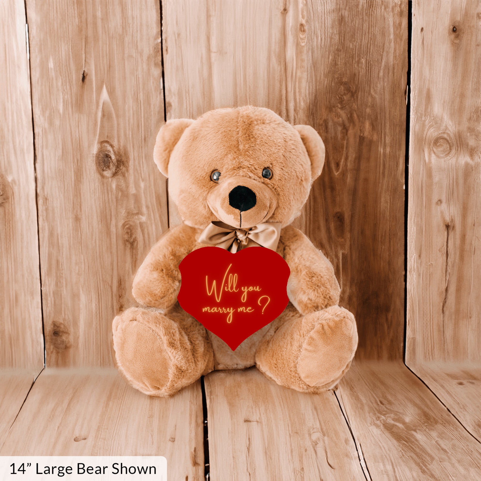 Will You Marry Me Proposal Teddybear