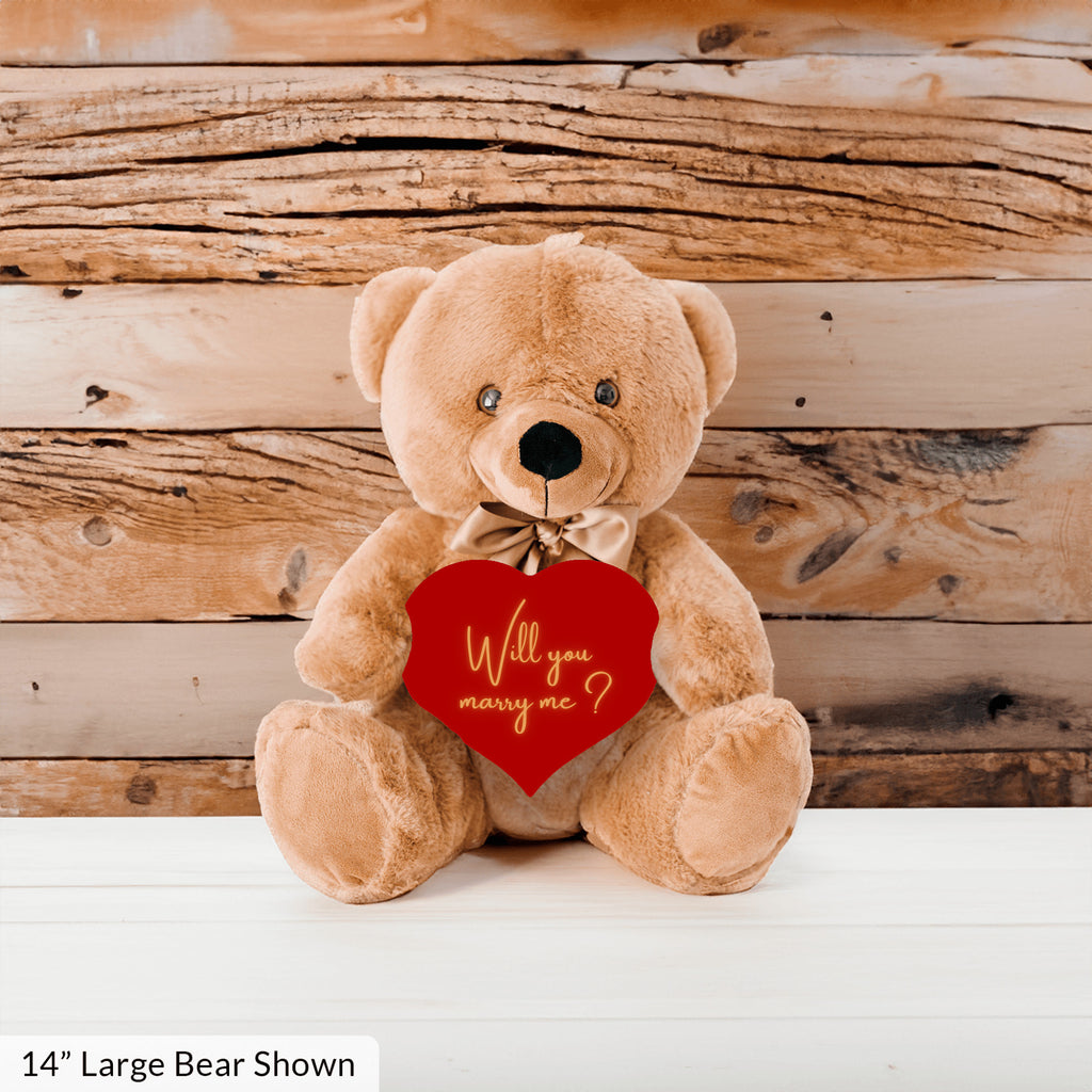 Will You Marry Me Proposal Teddybear