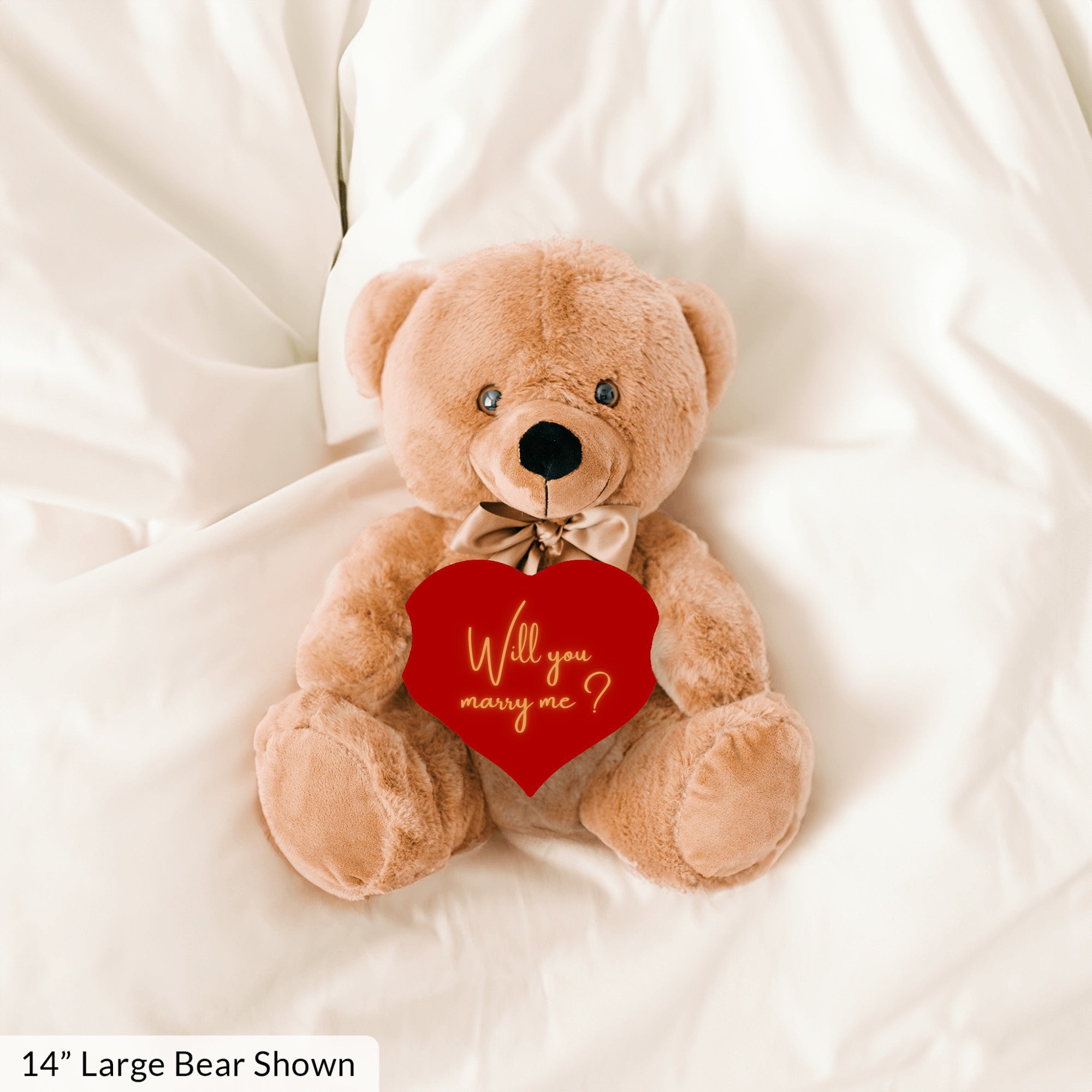 Will You Marry Me Proposal Teddybear