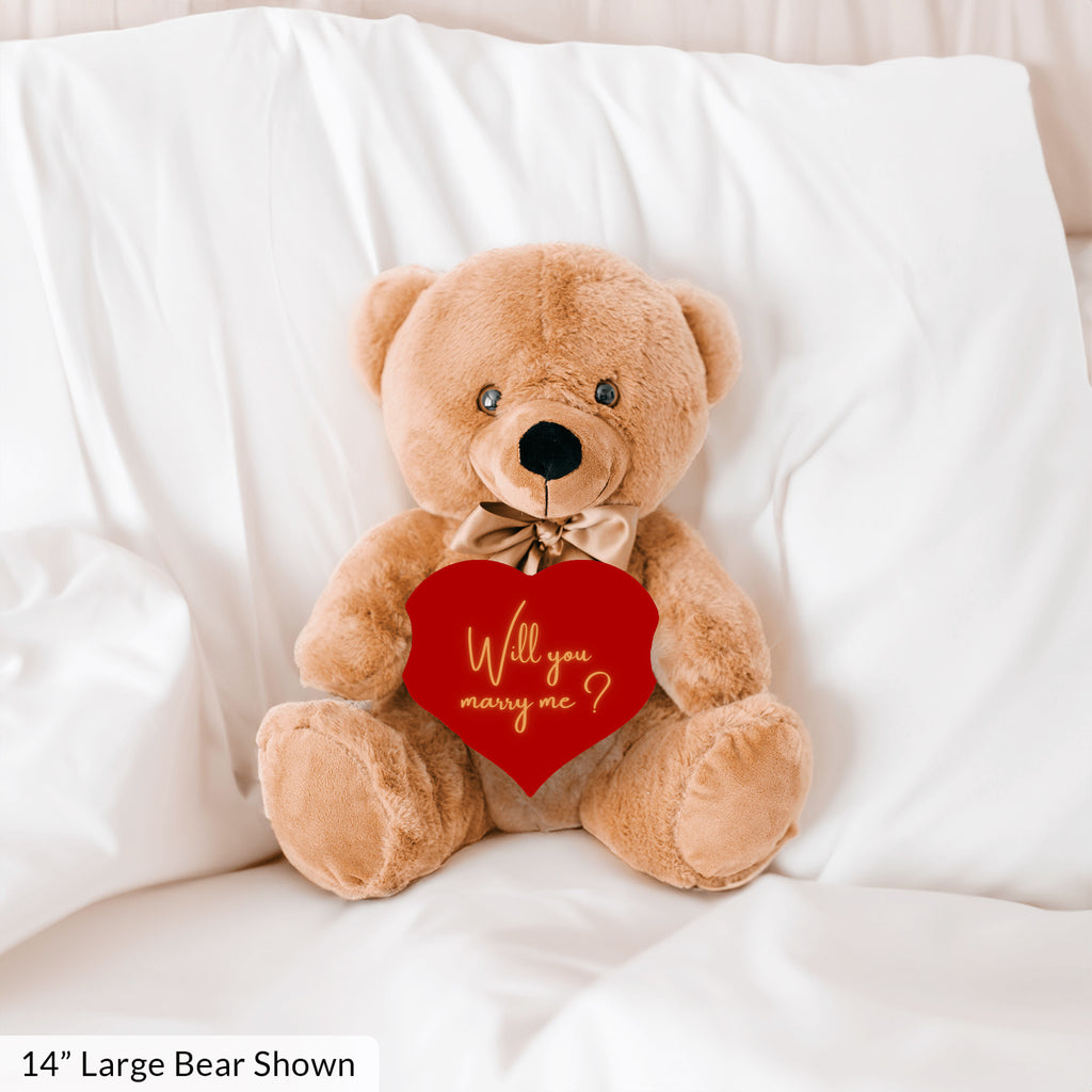 Will You Marry Me Proposal Teddybear