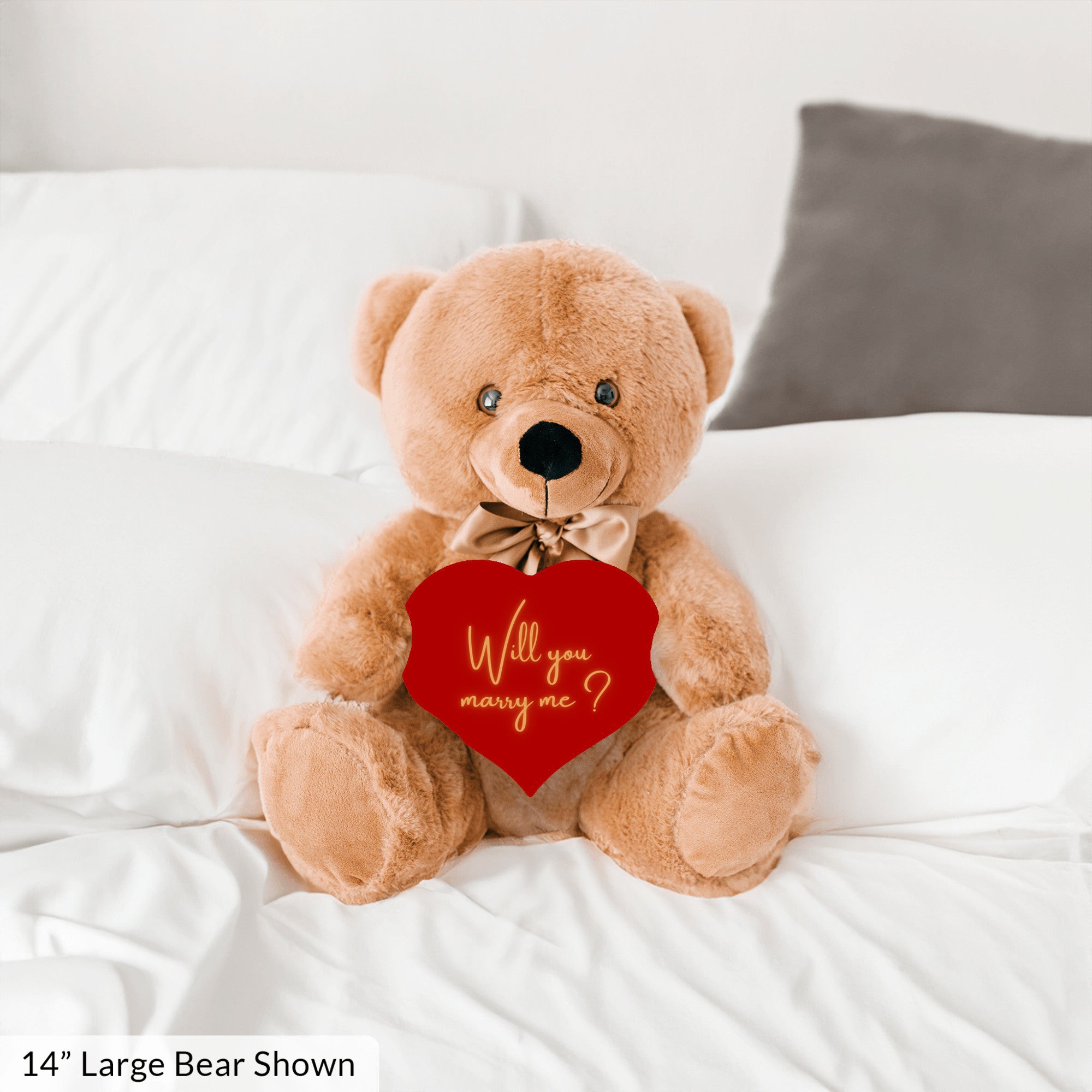 Will You Marry Me Proposal Teddybear